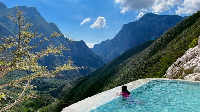 Zandravixo gallery 2